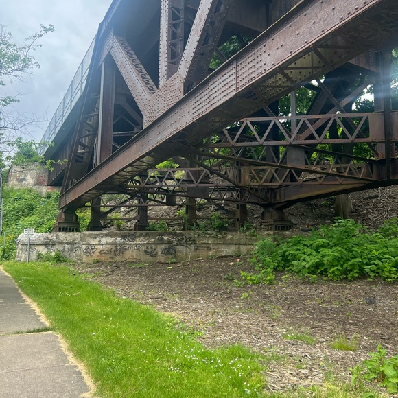 Meet your Posher, Taylor - Picture 3 of 5